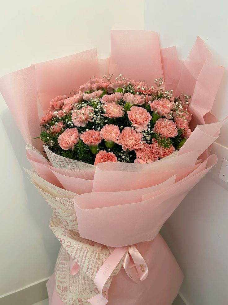 Pink Carnation Bliss