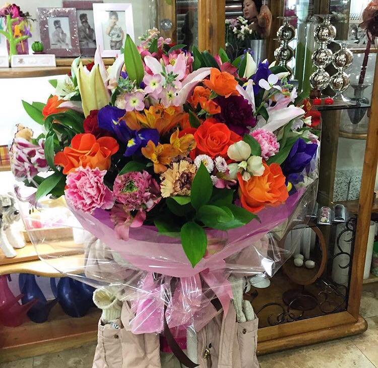 Autumn Sunset Collection